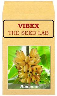 CYBEXIS Heirloom Bananas Hybrid Seeds500 Seeds Seed