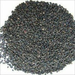 Urancia Babchi Psoralea Corylifolia, Cullen Corylifolia Dried 150gm Seed