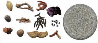 GHST Kadukkai, Sitharathai, Sukku (Dry ginger), Jathikai (Nutmeg) Seed