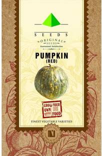 CYBEXIS Red Pumpkin Seeds Seed