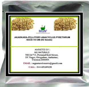 MGBN AKARKARA-PELLITORY-ANACYCLUS PYRETHRUM SEED-10 GM Seed