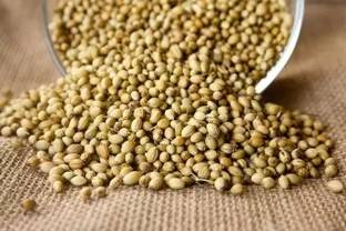 MAA Corinader, Dhania Seed