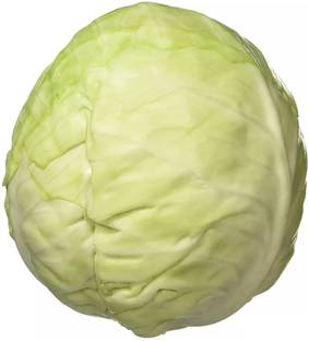 MYLAWN Organic green cabbage (पत्ता गोभी के बीज) Seed