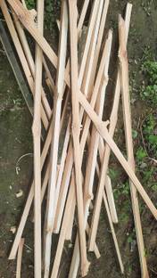 Dayal 3 ft Premium Natural Bamboo Plant Support Sticks - Garden Sticks Plant Straightener