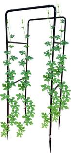 invelligen Garden Arc Structure Trellis for Creeper Support and Climber Plant Support Pole Plant Straightener