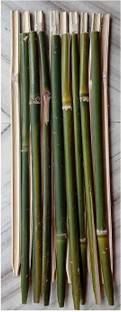 Kabi Aggro Bamboo Sticks for Plant Support Height 2 Feet 3 Inch Pack of 20 Piece Plant Straightener