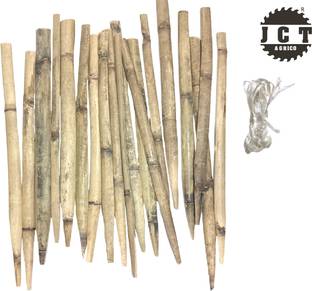 JCT AGRICO bamboo stick(point of one side)with rope to tie a plant with the stick Plant Straightener