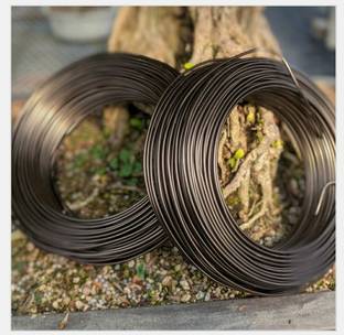 GREENARTZ 33ft Aluminium Wire 3mm Plant Straightener