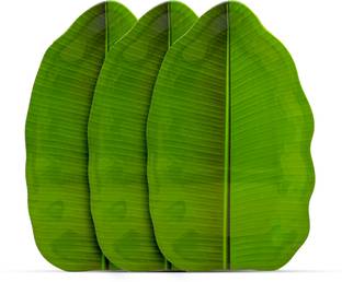 Laserbot Banana MINI Leaf Lunch Serving Melamine Platter Plate(SIZE-8.25" X 5.5" Inch) Tray