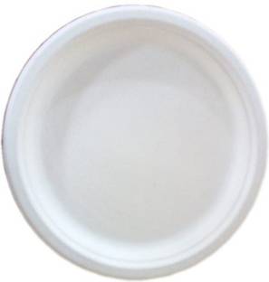 LUSKA Sugarcane Bagasse 100% Natural 6 inch Round White Plates (Pack of 25) Dinner Plate