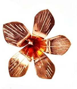 srijan 100% Pure Amra Pallav/Aam patta/Mango Leaves for Puja Copper