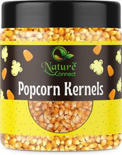 NATURE CONNECT Popcorn Kernel Seeds | Unpopped Corn Raw Popcorn Kernels| Jar Pack Popcorn Popcorn
