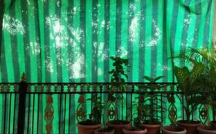 Buildingshop UV Black & Green Net 75% Sun/Water Block - (3 Meter(10 Ft) X 3 Meter(10 Ft)) Portable Green House