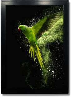 Wild Birds Photo Frame - Royal birds posters Wall Hanging Photographic Paper