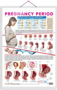 PREGNANCY PERIOD CHART | The Journey of Pregnancy: Comprehensive Period Charts Paper Print
