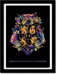 Harry Potter Framed Poster for room and home decor | HD Poster for Room Decor (13x10-Inch, 300GSM Thick Paper) Photographic Paper