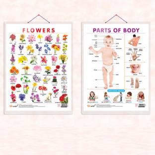 FLOWERS CHART HARD LAMINATED and PARTS OF BODY CHART HARD LAMINATED | combo of 2 charts | Interactive Botanical Anatomy Set Paper Print