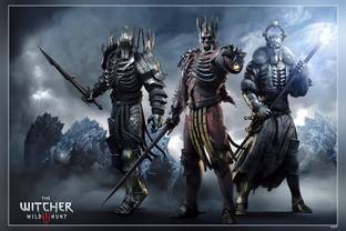 The Witcher : Wild Hunt Video Game Matte Finish Poster Fine Art Print