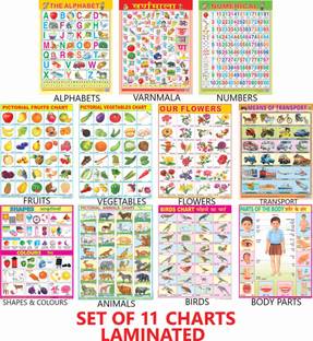 All in One Educational Charts for Kids | Learn about English Alphabet, Fruit, Vegetables, Animals, Birds, Part of Body, Hindi Vernmala, Transport, Numerical, Colour Shape & Flowers with Waterproof Picture Chart Fine Art Print