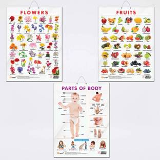 FRUITS CHART GLOSS LAMINATED, FLOWERS CHART GLOSS LAMINATED, and PARTS OF BODY CHART GLOSS LAMINATED | combo of 3 charts |Colorful Trio Enhancing Kids' Learning Adventures Paper Print