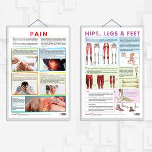PAIN chart andhand HIPS, LEGS AND FEET chart | combo of 2 Charts | A Journey to Wellness: Understanding Pain and Lower Extremities with Comprehensive Educational Charts Paper Print