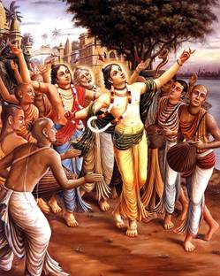 Self Adhesive UV Coated High Resolution Vinyl Print- Chaitanya Mahaprabhu Poster – P552 Fine Art Print