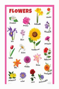 Flowers Name Chart Poster with Gloss Lamination Paper Print