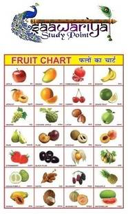 Learning Educational Charts for Kids | Fruit Chart For Kids | Gloss Laminated Paper Print Photographic Paper