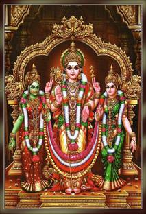Poster Lord Subramanya Swamy Ji sl-14514 (Wall Poster, 13x19 Inches, Matte Paper, Multicolor) Fine Art Print