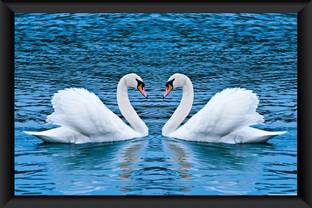BEAUTIFUL VASTU SWAN FRAME Photographic Paper