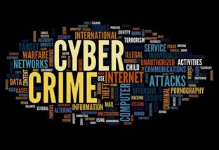 Poster Cyber Crime sl-9601 (Wall Poster, 13x19 Inch, Matte Paper, Multicolor) Fine Art Print