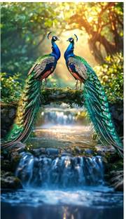 Elegant Decorative Two Peacock Wall Sticker – Vibrant Home Décor Stickers for Living Room & Bedroom Paper Print