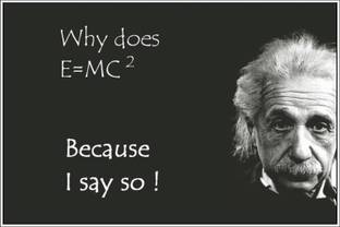 Because I say so Albert Einstein funny Wall Poster Print on Art Paper 13x19 Inches Paper Print