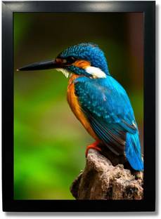 Wild Birds Photo Frame - Royal birds posters Wall Hanging Photographic Paper
