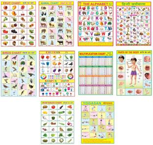 Combo of 10 Fruit Chart, Animal Chart, Alphabet, Hindi Varnmala, Birds Chart,Colours, Multiplication, Parts of body, Vegetable, Yogasan (20x30) Wall chart For kids Paper Print
