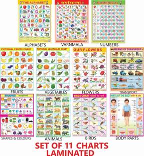 All in One Educational Charts for Kids | Learn about English Alphabet, Fruit, Vegetables, Animals, Birds, Part of Body, Hindi Vernmala, Transport, Numerical, Colour Shape & Flowers with Waterproof Picture Chart Paper Print