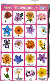 20 Different Random Mix Charts Cut Stick Paste for Kids School Scrap Booking Project Self Adhesive Stickers Chart Paper Print