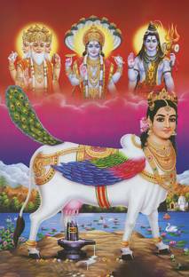 hindu religious Kamdhenu Cow with Brahma Vishnu Mahesh/Shiva Giving Blessing canvas print poster Fine Art Print