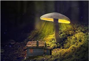 A4 Size scenery poster.111 Fine Art Print