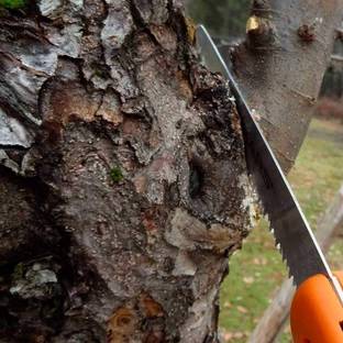 GRISHVA High Quality Gardening 7" Hand Pruning Saw for cutting and gardening Hand Tool Kit