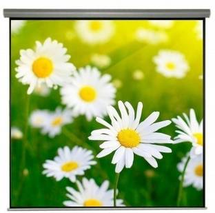 EMERGING SOLUTIONS ESSL8x10 Feet Projector Screen (Width 243.84 cm x 304.8 cm Height)