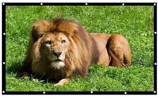 ZIOZY 130 Inch- 9.5Ft x 5.3Ft-Anti-Creased-Foldable Anti-Light 16:9 4K Eyelet HD 3D Projector Screen (Width 288 cm x 162 cm Height)