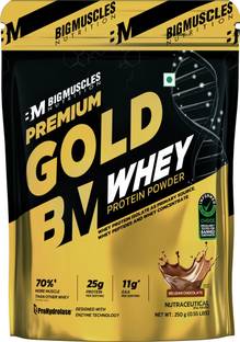 BIGMUSCLES NUTRITION Premium Gold Whey Protein | 25g Whey Protein Isolate Blend | ProHydrolase Tech.| Whey Protein
