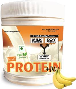 DEVELO WHEY/SOY/MILK TRIPLE PROTEIN MASS/WEIGHT GAINER Protein Blends