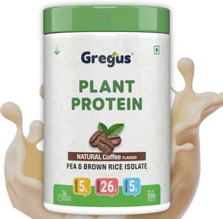 Gregus Best Plant Based Vegan Protein 26g Sugar Free, For Lean Muscles, For Women & Men Plant-Based Protein