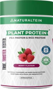 NATURALTEIN Plant Protein Pea and Rice Based | Naturally Sweetened No Artificial Ingredients Plant-Based Protein