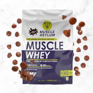 Muscle Asylum Premium Whey Protein (With Real Chocochips Inside) 1kg (Double Chocolate) Whey Protein