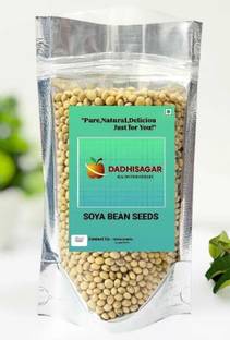 Dadhisagar Soya Bean