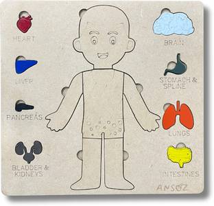 Ansoz Human Body Parts Wooden Puzzle Board