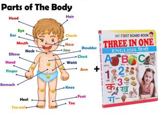 SHALAFI Parts of Body Name Tray Puzzle Board Educational Wooden Learning Toys+3in1 Book